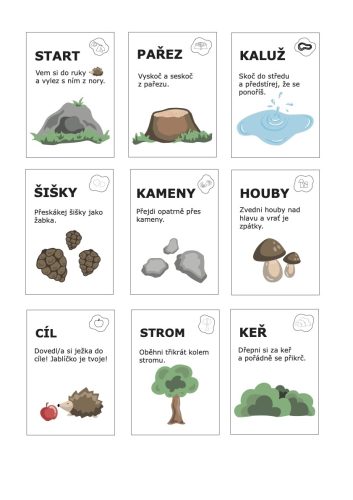 Adéla Baronová -Maturitní práce 2025 - Rozcvička s ježkem (kartičky)