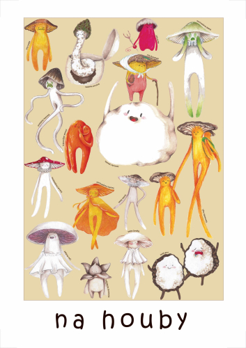 Marie Nováková - Na houby