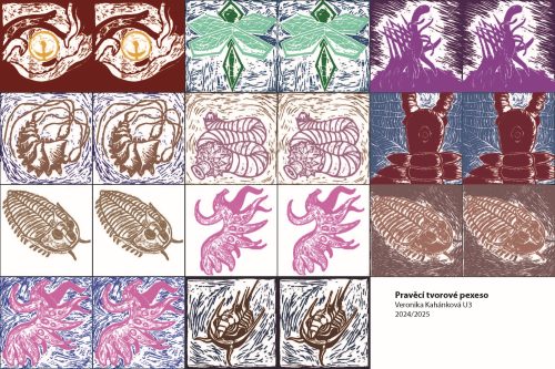 Veronika Kahánková - pexeso