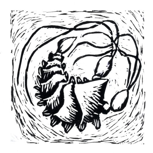 Matěj Rychlý - linoryt