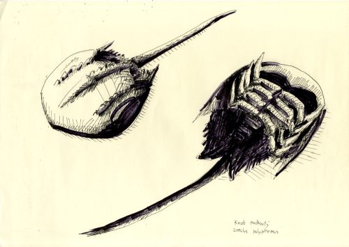 Kresba pravěkého tvora