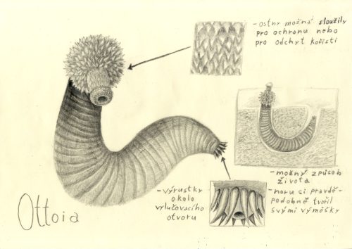 Kresba pravěkého tvora