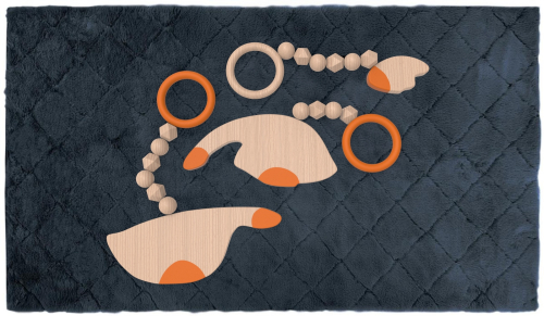 Aneta Holmanová - HUSY