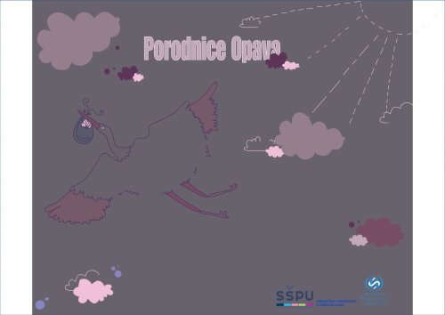 Slezská nemocnice Opava - návrh fotostěny porodnice
