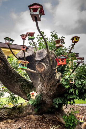 Slezská nemocnice Opava - Stromogalerie