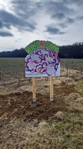 Kapradí, Luční sad- Půdní stezka