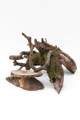 Adéla Baronová - Větvík