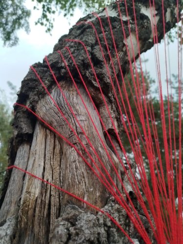 Adéla Trávníčková - Land Art