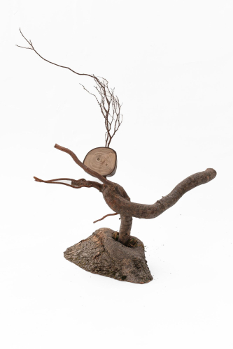 Aneta Holmanová - Větvík