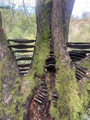 Anna Matějová - Land Art
