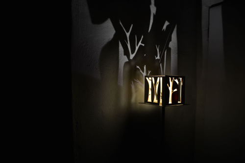 Emma Flaume - Stínidlo