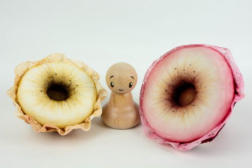 Felix Markos - Skřítek