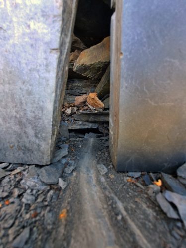 Jonáš Světlík - Land art