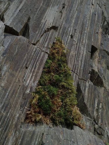 Leontýna Žvaková - Land art 