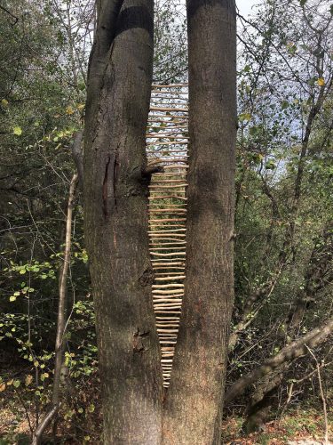 Linda Ondřejková - Land art 