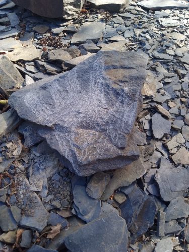 Matěj Rychlý - Land art 