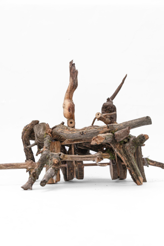 Matyáš Carbol - Větvik