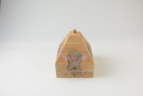 Tereza Bednaříková - Proměňavci