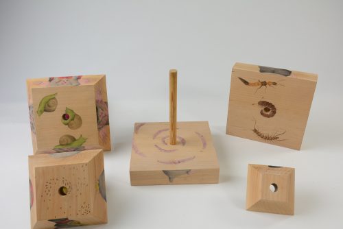 Tereza Bednaříková - Proměňavci