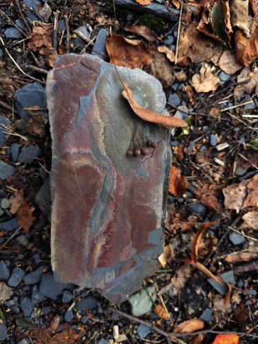 Veronika Kahánková - Land art  