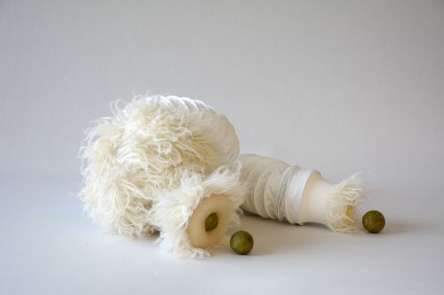 Veronika Kahánková - Ottoia pravěký tvor