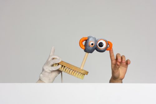 Veronika Schreierová - Loď bláznů