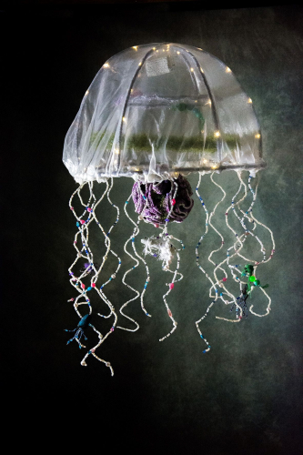 Veronika Vodičková - Medůza