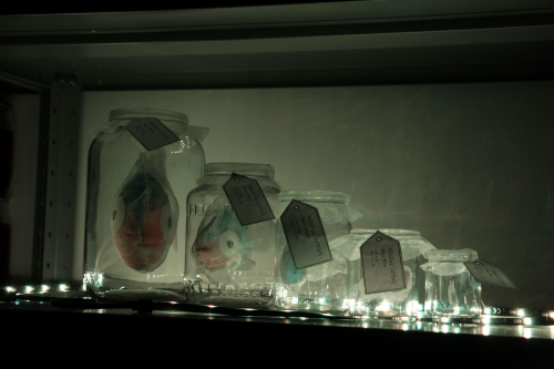 Zuzana Honová - Měsíčník